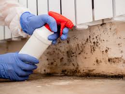 Best Mold Odor Removal Services  in Perryopolis, PA